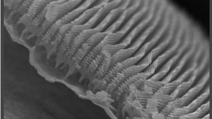 Nanotechnology close up